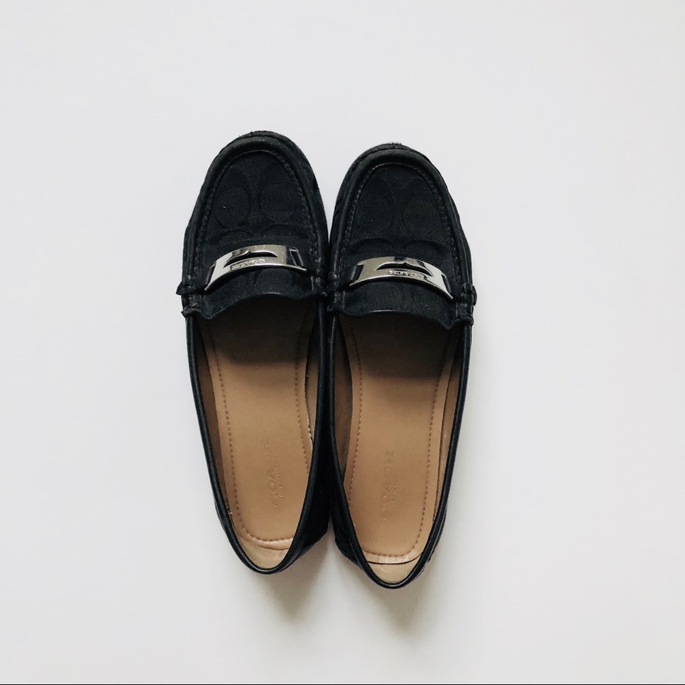 coach canvas lofters